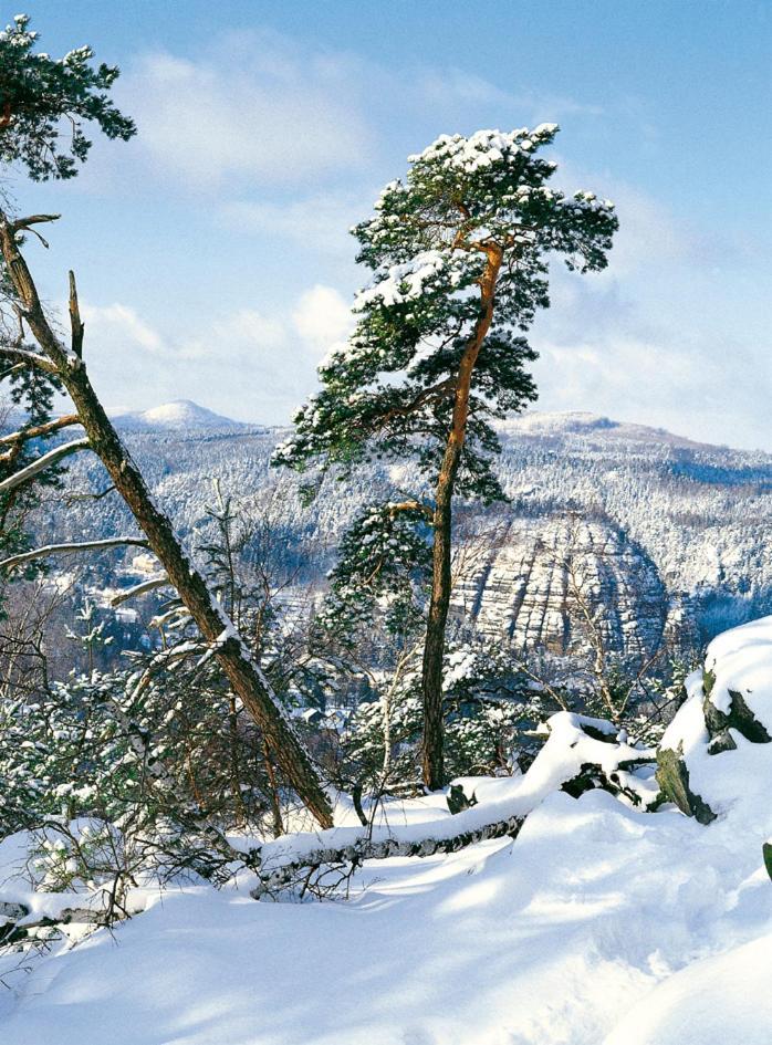 Dammschenke Gasthof & Hotel Курорт Йонсдорф Екстер'єр фото